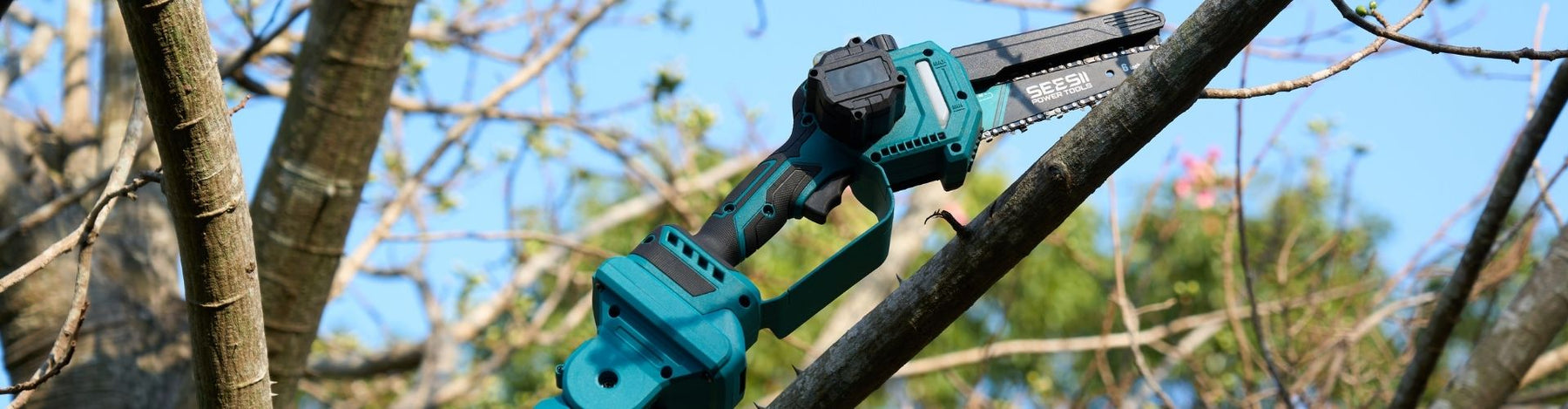 Seesii pole saw.