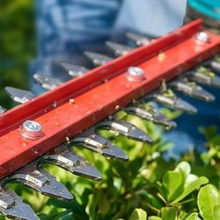 7 Best Hedge Trimmers of 2026: Cordless & Pole Picks - SeeSii