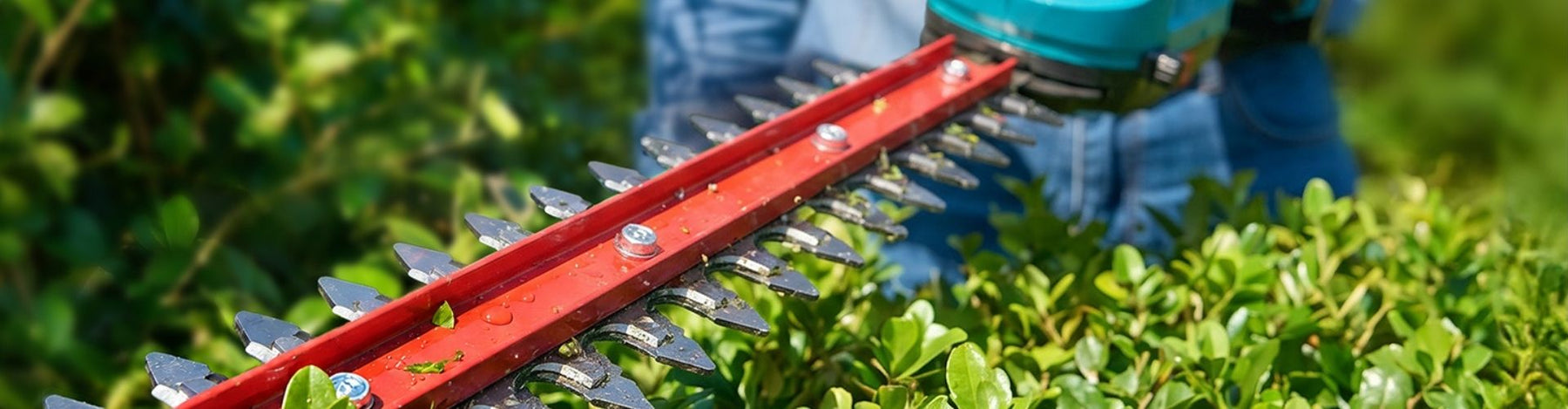 SeeSii SH300 3-in-1 Cordless Pole Hedge Trimmer.