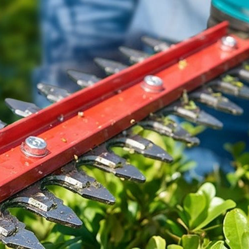 SeeSii SH300 3-in-1 Cordless Pole Hedge Trimmer.