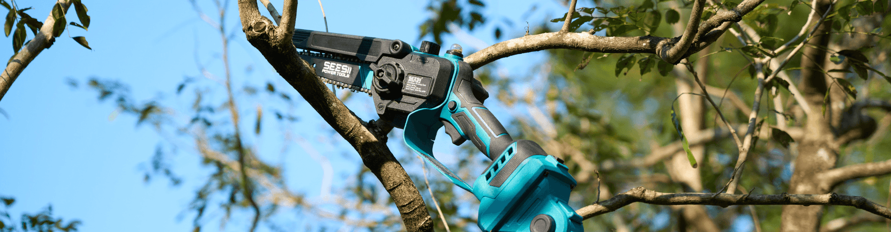 Best Fruit Tree Pruning Tools: A Guide To Clean And Effective Cuts