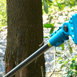 Battery Chainsaw On A Pole: A Complete Guide - SeeSii