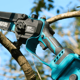 Best Fruit Tree Pruning Tools: A Guide To Clean And Effective Cuts - SeeSii