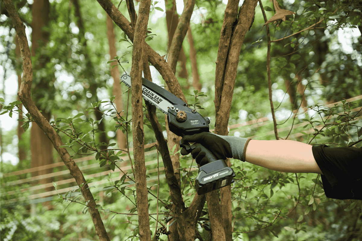 Can You Cut Bushes With A Chainsaw? A Smart Homeowner’s Guide - SeeSii