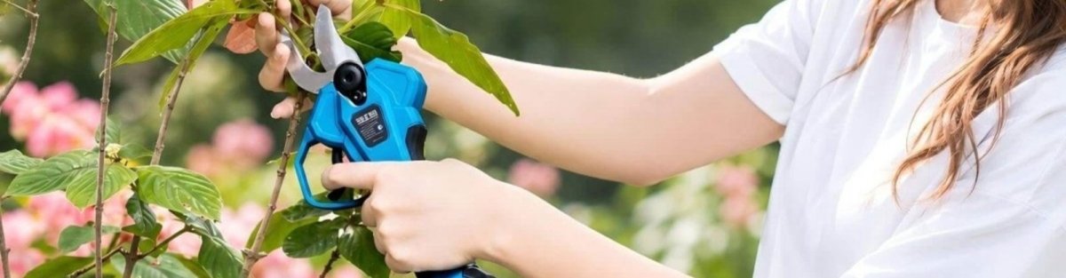 How to Choose Pruning Shears: Types, Features, and What to Look For - SEESII