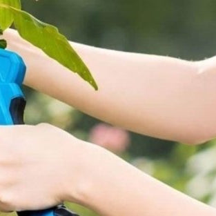 How to Choose Pruning Shears: Types, Features, and What to Look For - SEESII