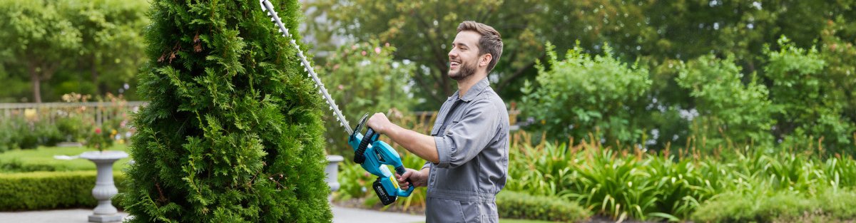 How To Clean Hedge Trimmer Blades - SeeSii