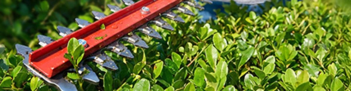 How To Clean Hedge Trimmer Blades - SeeSii