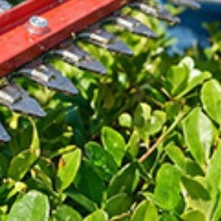 How To Clean Hedge Trimmer Blades - SeeSii