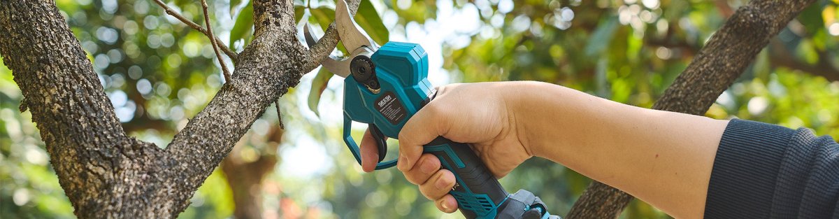 How to Clean Pruning Shears: Simple Care Tips - SeeSii