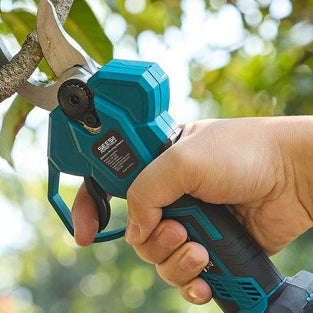 How to Clean Pruning Shears: Simple Care Tips - SeeSii