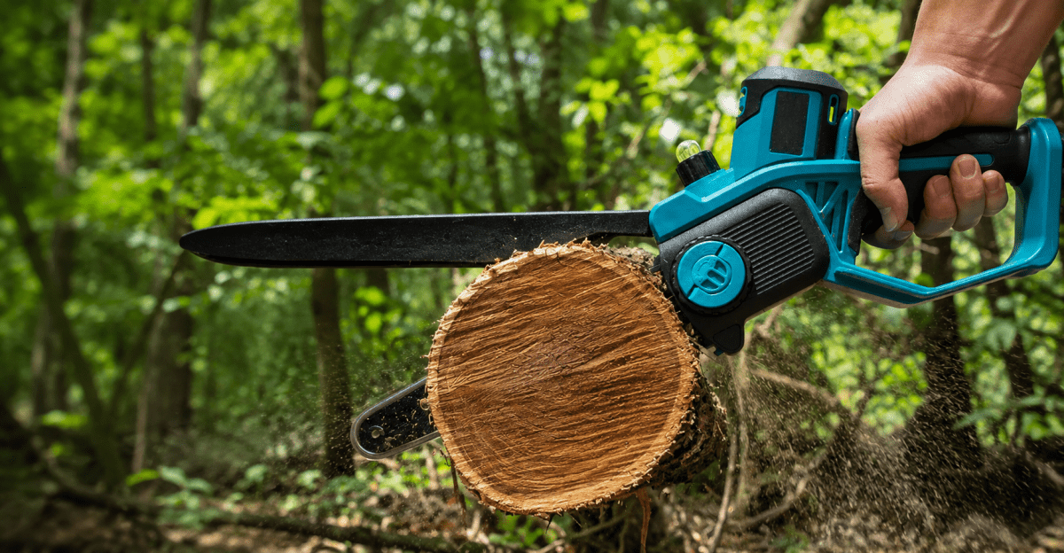 How to Sharpen a Chainsaw Chain With a File and When to Replace It - SeeSii