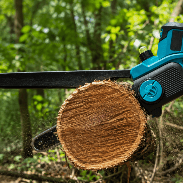 How to Sharpen a Chainsaw Chain With a File and When to Replace It - SeeSii