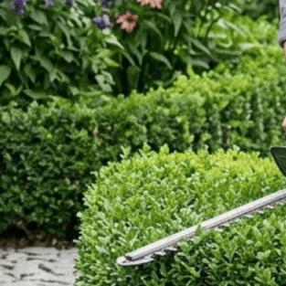 How to Sharpen Cordless Hedge Trimmer Blades - SeeSii
