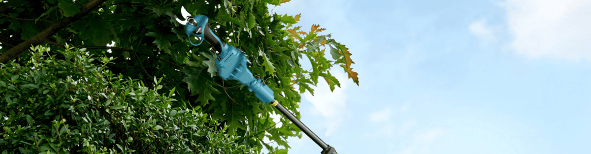 How To Sharpen Pruning Shears - SeeSii