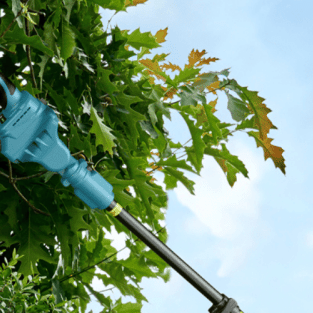 How To Sharpen Pruning Shears - SeeSii
