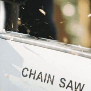 Is a 14-Inch Chainsaw Big Enough? - SeeSii