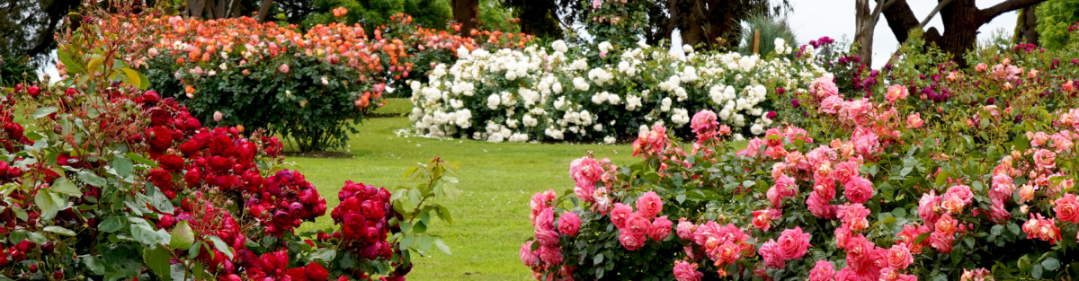 Make Your Neighbors Jealous: 5 Fast-Track Easter Garden Hacks - SeeSii