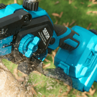 Pruning Trees In Spring – Is It OK To Do? - SeeSii