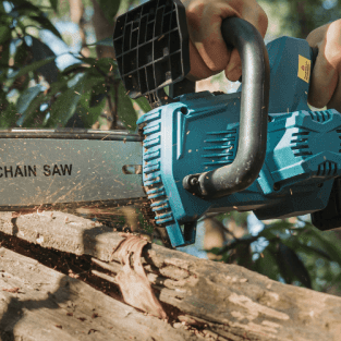 What Are Power Tools for Tree Removal? — SeeSii