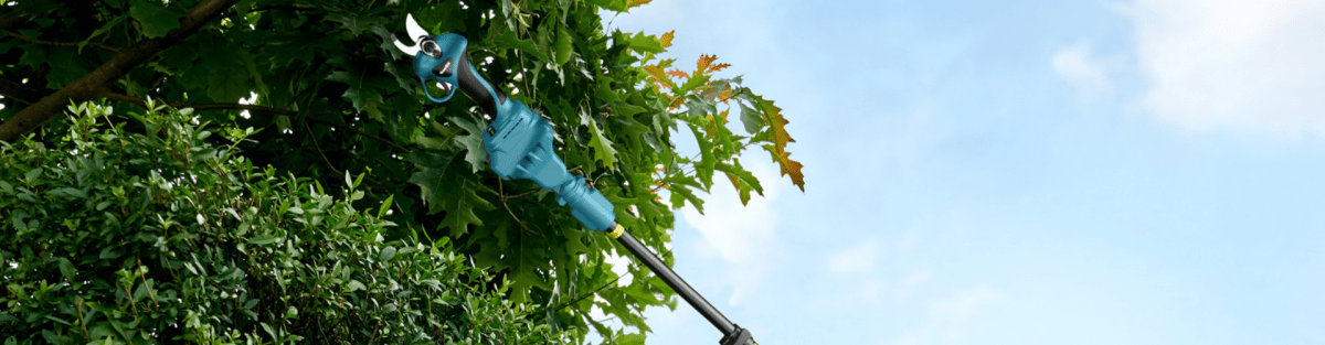 What Are Pruning Shears Used For? A Complete Guide - SeeSii