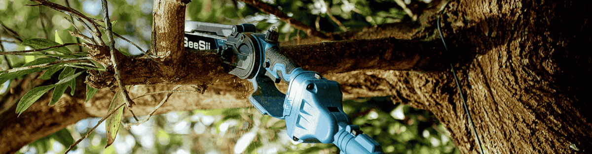 What Is the 1-2-3 Rule of Pruning? The Secret to Safe Branch Removal - SeeSii