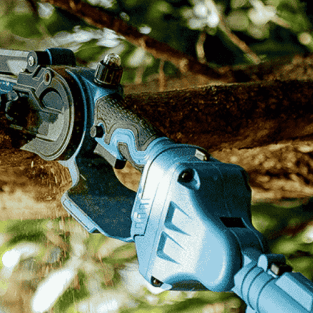 What Is the 1-2-3 Rule of Pruning? The Secret to Safe Branch Removal - SeeSii