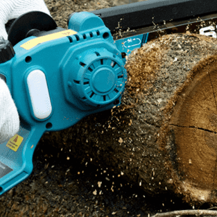 What Tools Do You Need To Prune Trees? - SeeSii