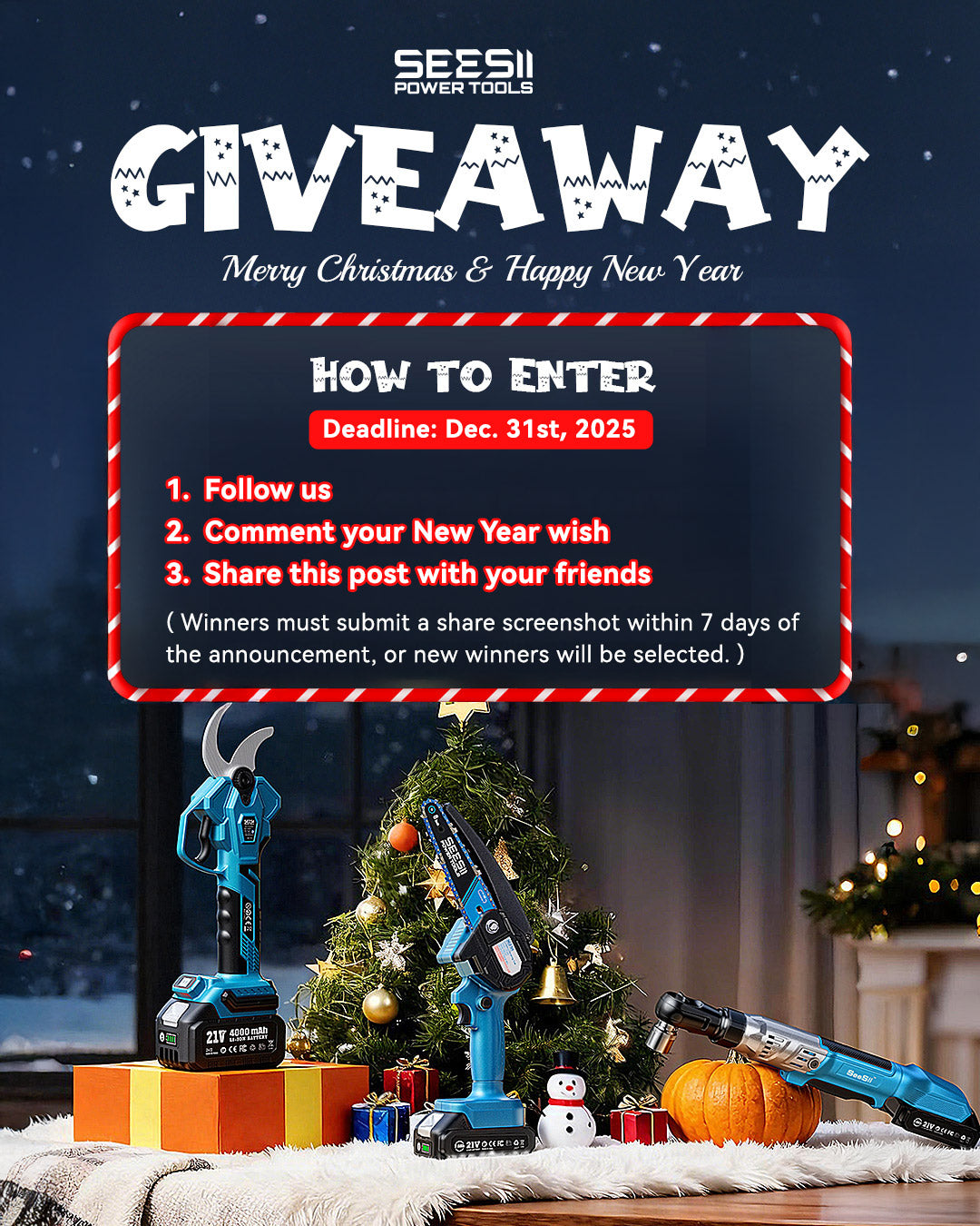 🎄 SEESII Xmas Giveaway