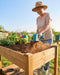 Elderly lady using handheld Seesii mini cordless tiller to loosen soil in wooden raised flower planter box