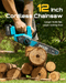 SeeSii M12 Ace Battery Chainsaw 12 Inch with 2*4000mAh Batteries - chainsaw - SeeSii